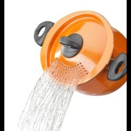 Picture of shirin-hoseini